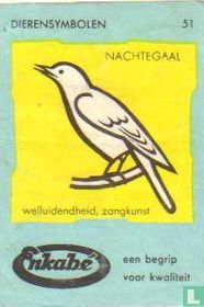 Nachtegaal