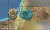 Fossils from Israel