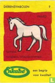 Paard