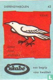 Kraai
