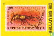 Indonesië - vis acheter