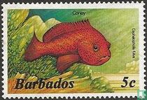 Animaux marins