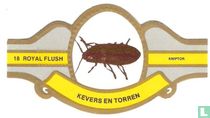 Beetles (Royal Flush) cigar labels catalogue