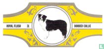 Honden 31/40 HG (zilver) sigarenbandjes catalogus