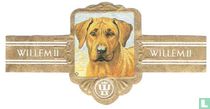 36 Honden XXVIII sigarenbandjes catalogus