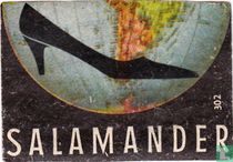 Salamander