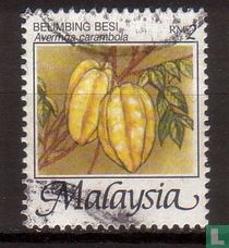 Fruits    acheter