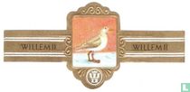 15 Vögel X 2643/2678 zigarrenbänder katalog