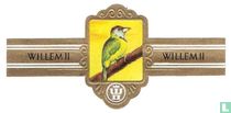 Blauwkeelbaardvogel (Megalaima asiatica) acheter