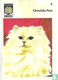 Chinchilla Pers