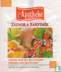 Zázvor a Rakytník