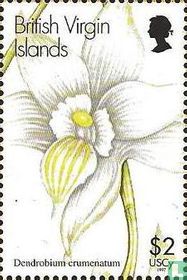 Orchidées  