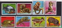 Zuid Amerikaanse Fauna