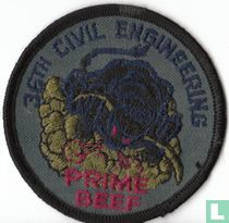 36TH Civil Engineering (Blue)