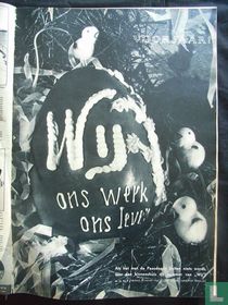 Wij 8