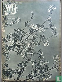 Wij 13