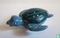 La tortue de mer Tuja