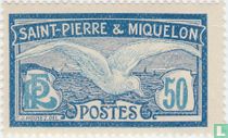 Seagull
