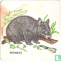 Wombat