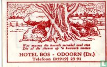 Hotel Bos