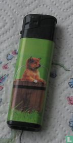 Hond