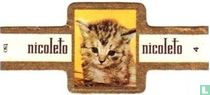 Cats SS (Nicoleto) cigar labels catalogue