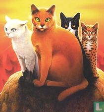 Warrior Cats bücher-katalog