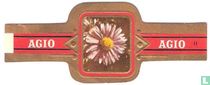 [Aster] kaufen