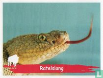 Ratelslang