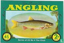 Chub, The
