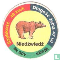 Niedźwiedź