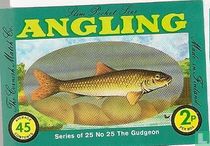 Gudgeon, the