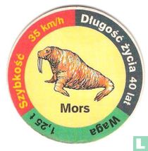 Mors