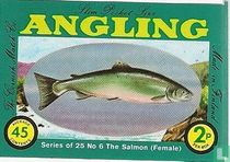 Salmon (female), the