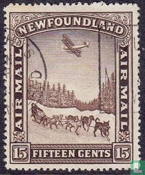 Airmail sled dogs