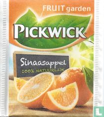 Sinaasappel