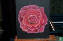 Rote Rose.