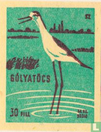 Gólyatöcs [ steltkluut]