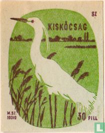 Kiskócsag [Kleine Zilverreiger]