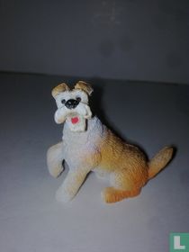 Fox Terrier