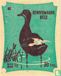 Kendermagos réce [Gespikkelde eend]