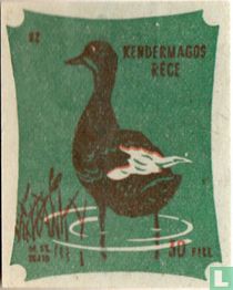 Kendermagos réce [Gespikkelde eend]