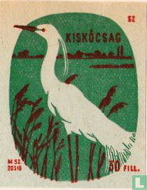 Kiskócsag [Kleine Zilverreiger]