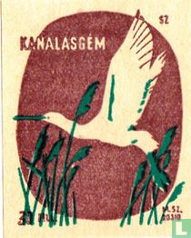 Kanalasgém [Lepelaar]