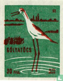 Gólyatöcs [Steltkluut]