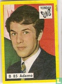 Adamo