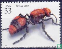 Les insectes et les araignées