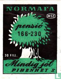 Normafa pensio - Mindig jól pihenhet