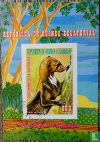 Animaux Amérique du Sud