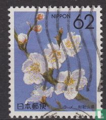 Präfektur Wakayama